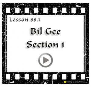 Lesson Lesson 88 WCO Lesson 88 – Wing Chun Members